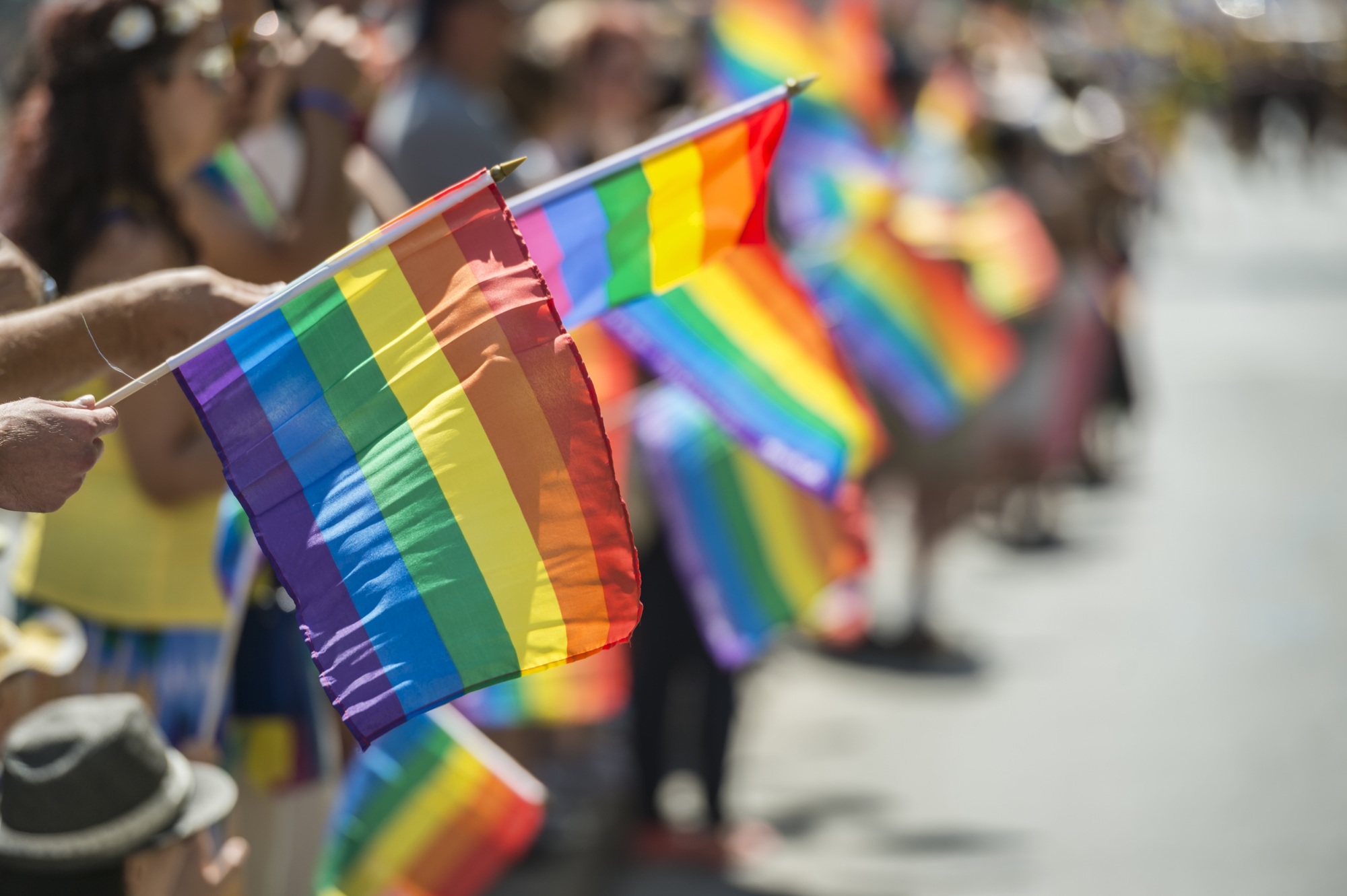Row of pride flags