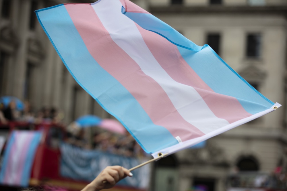 Trans Pride Flag Waving